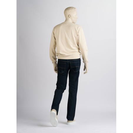 Palm Regular S02 Dark Blue